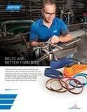 Flyer - Belts - File - Norton AA - 8387