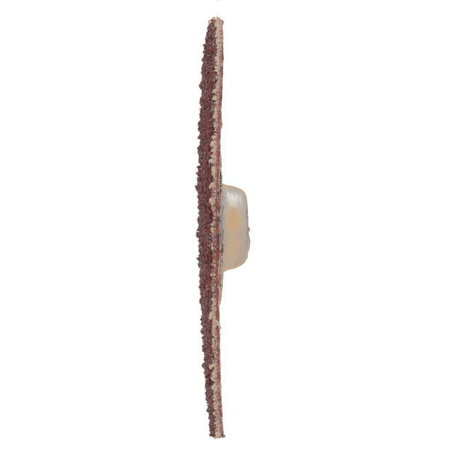Merit Aluminum Oxide Quick-Change Disc - Type TS Attachment