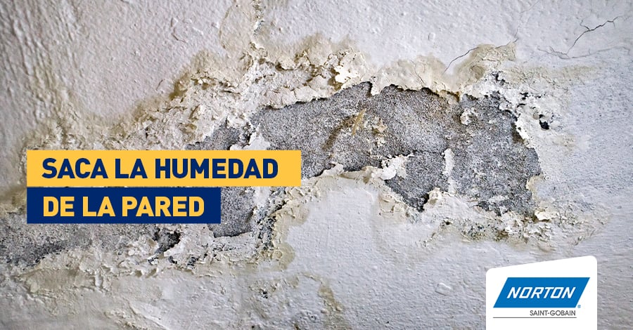 humedad de pared