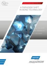 Norton Paradigm Brochure Cover