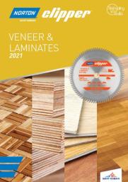 Veneers and Laminates