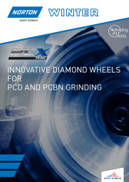 PCX Prime flyer