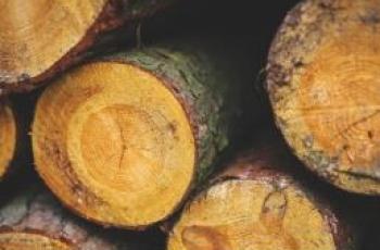 legno