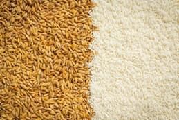  Rice & Grain Polishing