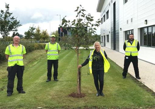 EHS Day Tree UK