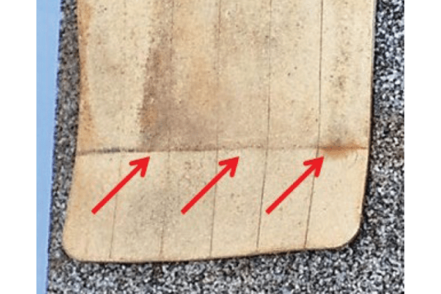 Segment blotter with a sharp indentation on the bottom side