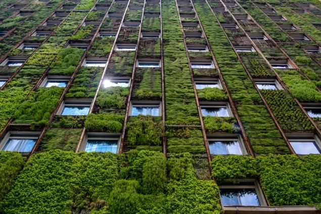 sustentabilidade