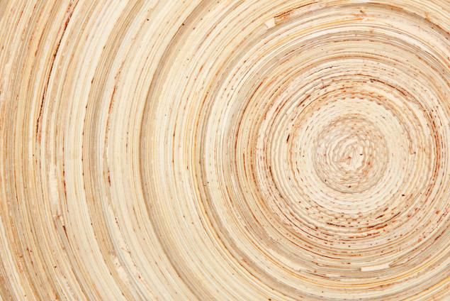 wood paste