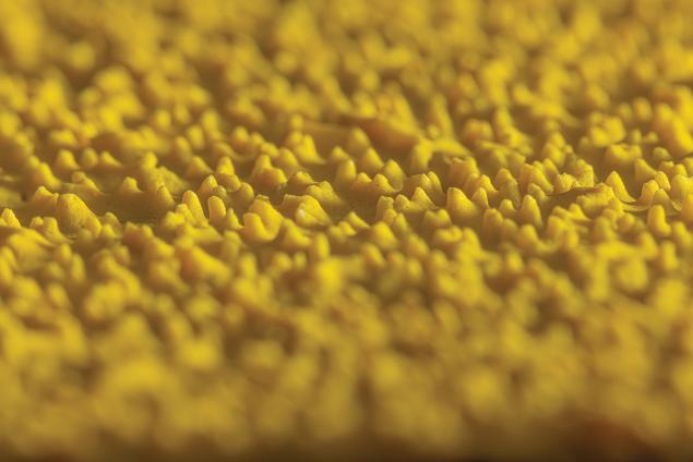 Up-Close View of the RazorStar Grain