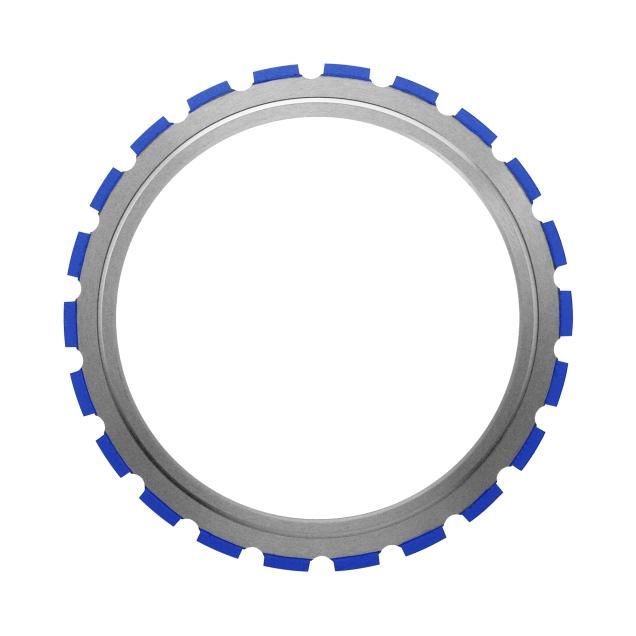 Ring Uni IMG 01.jpg