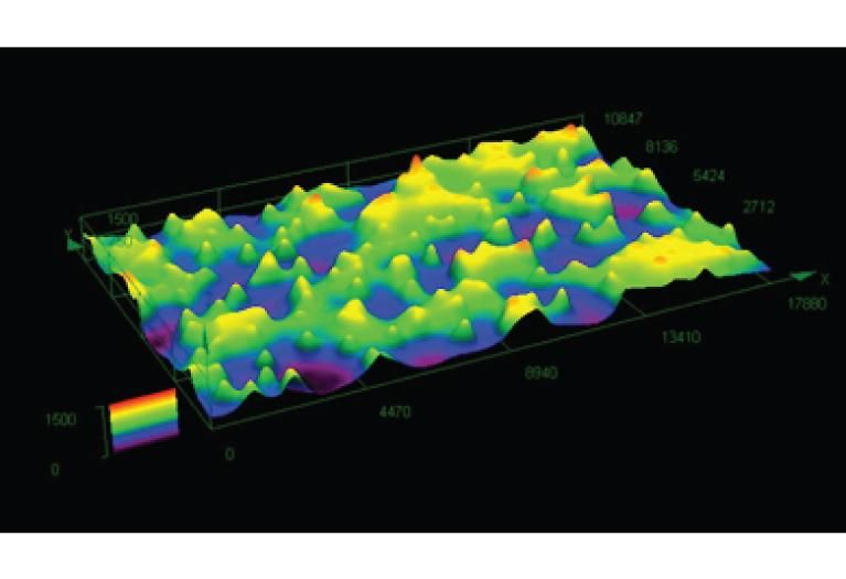 Height map of the shaped grain in RazorStar