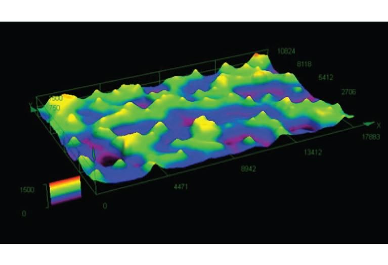 Height map of the competitive shaped grain