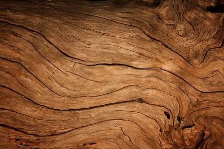 Wood