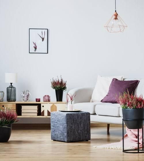 Living room with purple accents