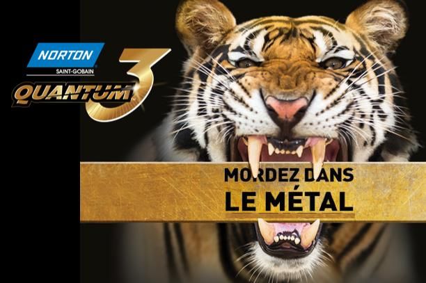 visuel du tigre
